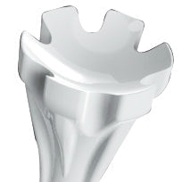 Zarma Fly Tee - Bulk